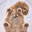 With Puppy