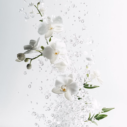 옹딘 제품 정보 1